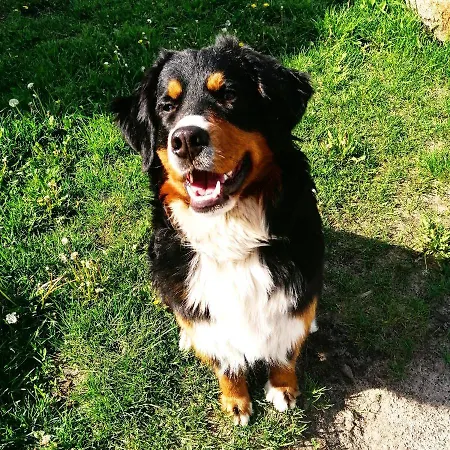 Klimbergowice בית כפרי *